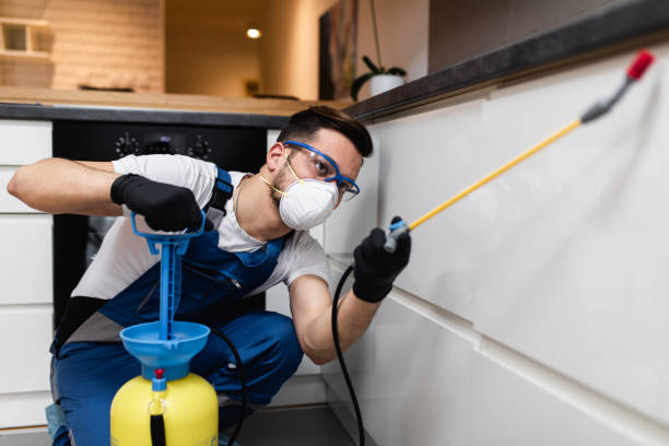 Best Affordable Pest Control Services  in Port Townsend, WA