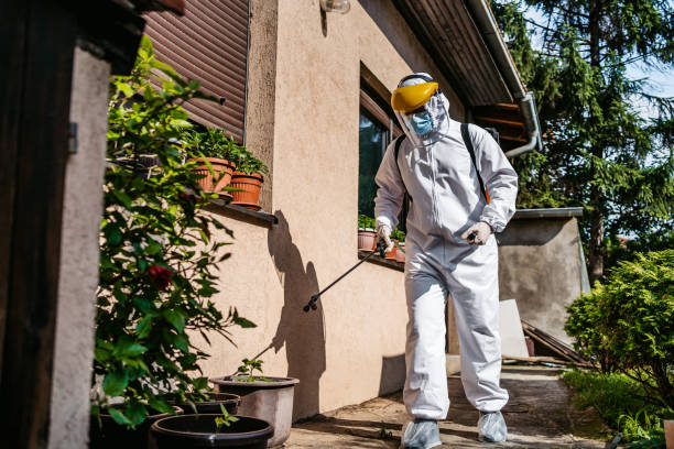 Best Insect Control  in Port Townsend, WA