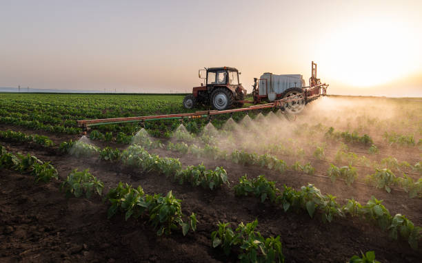 Best Commercial Pest Control Services  in Port Townsend, WA