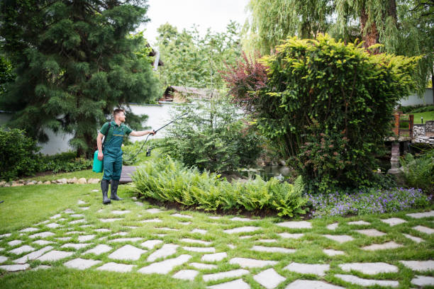 Best Pest Removal Services  in Port Townsend, WA