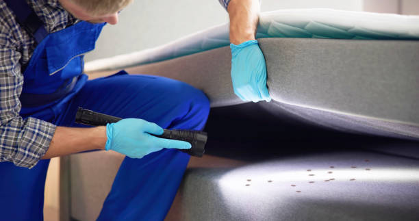 Best Cockroach Control Services  in Port Townsend, WA