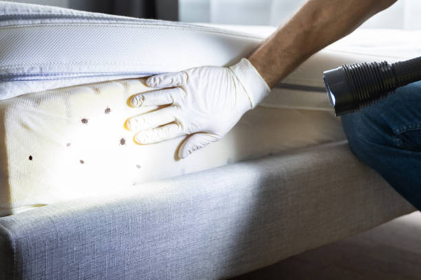 Best Cockroach Control Services  in Port Townsend, WA