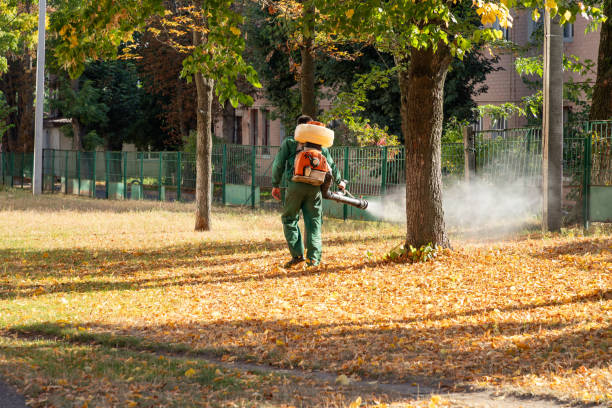 Best Pest Control for Homes  in Port Townsend, WA