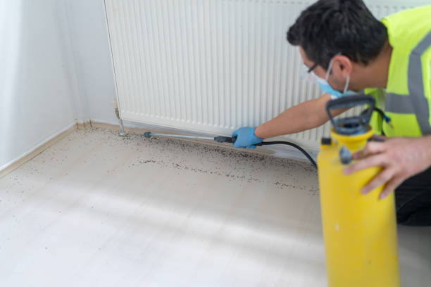 Best Wasp Removal Services  in Port Townsend, WA