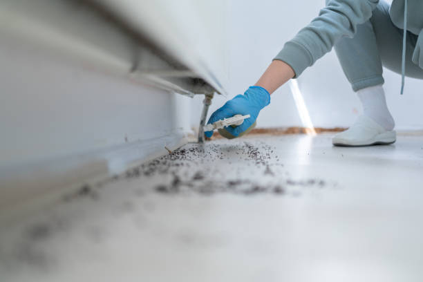 Best Commercial Pest Control Services  in Port Townsend, WA