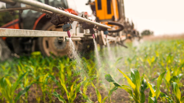 Best Mosquito Control Services  in Port Townsend, WA