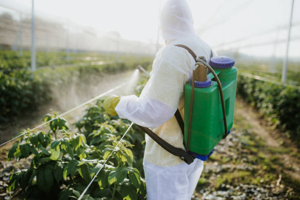 Best Pest Prevention Services  in Port Townsend, WA
